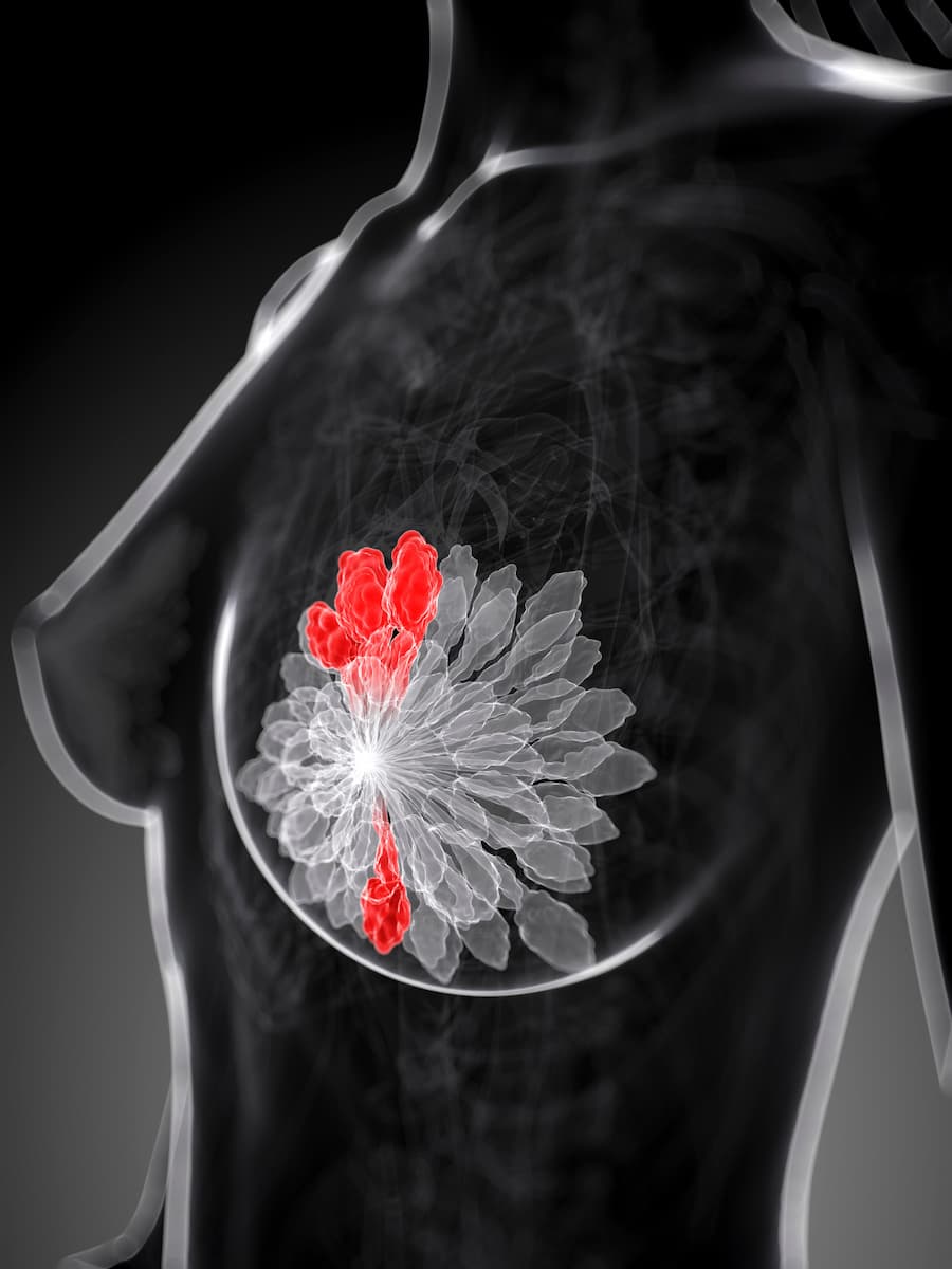 启发不锈钢珠宝拇指印纪念珠宝指纹项链硬币吊坠为家庭个性化礼物, image size:900x1200