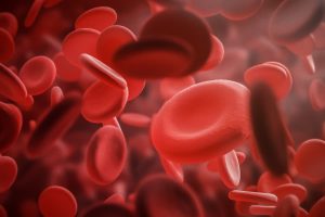 Red blood cells concept illustration