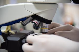 Cancer researcher uses microscope