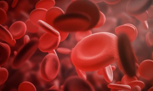 Red blood cells concept illustration
